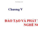 Bài giảng môn Quản trị nguồn nhân lực - Chương 5: Đào tạo và phát triển nghề nghiệp