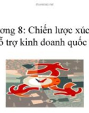 Chiến lược xúc tiến hỗ trợ kinh doanh quốc tế