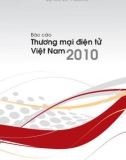 Báo cáo thương mại điện tử Việt Nam năm 2010