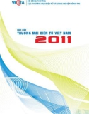 Báo cáo thương mại điện tử Việt Nam năm 2011