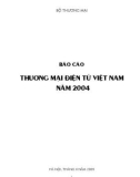 Báo cáo Thương mại điện tử Việt Nam năm 2004