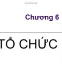 Chương 6: Tổ chức