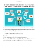 Tổ chức marketing (Marketing Organization) là gì? Nguyên tắc và cơ cấu tổ chức marketing