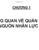 Bài giảng Quản trị nguồn nhân lực: Chương 1 - Đại học Đại Việt Sài Gòn