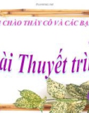 Thuyết trình: Dự án mở quán cà phê