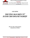 THƯƠNG MẠI ĐIỆN TỬ VÀ CHIẾN LƯỢC MARKETING - THS. DƯƠNG TỐ DUNG - 1