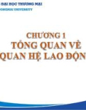 Bài giảng Quan hệ lao động - Chương 1: Tổng quan về quan hệ lao động