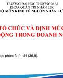 Bài giảng Tổ chức và định mức lao động trong doanh nghiệp - Chương 1: Tổng quan về tổ chức và định mức lao động