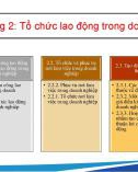 Bài giảng Tổ chức và định mức lao động trong doanh nghiệp - Chương 2: Tổ chức lao động trong doanh nghiệp