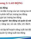 Bài giảng Lao động và việc làm - Chương 2: Lao động