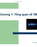 Giáo trình Thương Mại Điện Tử - Đại học Mở TP. HCM