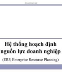 Bài giảng Hệ thống thông tin - Hoạch định nguồn nhân lực doanh nghiệp