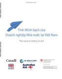 Báo cáo Tính minh bạch của doanh nghiệp nhà nước tại Việt Nam