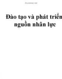 Bài giảng Đào tạo - Phát triển nguồn nhân lực