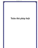 Tuân thủ pháp luật