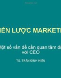 Bài giảng Chiến lược marketing: Một số vấn đề cần quan tâm đối với CEO - TS. Trần Đình Hiền