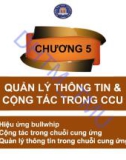 Bài giảng Quản trị chuỗi cung ứng - Chương 5: Quản lý thông tin và cộng tác trong chuỗi cung ứng