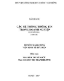 Bài giảng Các hệ thống thông tin trong doanh nghiệp: Phần 1