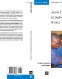 Skills Development in Sub-Saharan Africa