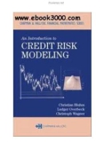 AN INTRODUCTION TO CREDIT RISK MODELING by Christian Bluhm