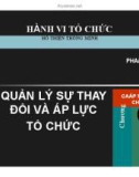 Bài giảng Hành vi tổ chức: Chương 19 - TS. Hồ Thiện Thông Minh