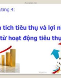 Phân tích tiêu thụ và lợi nhuận từ hoạt động tiêu thụ