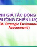 BÀI GIẢNG : ĐÁNH GIÁ MÔI TRƯỜNG CHIẾN LƯỢC(DMC)