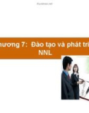 Bài giảng môn Quản trị nguồn nhân lực: Chương 7