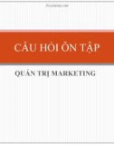 Câu hỏi ôn tập lý thuyết Quản trị Marketing