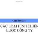 Chương 4: Các loại hình chiến lược công ty