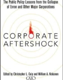 CORPORATE AFTERSHOCK - PART 1