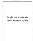 Sự phù hợp giữa tài sản và các hình thức cấp vốn