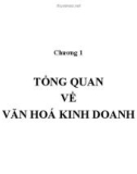 Bài giảng Văn hóa doanh nghiệp: Chương 1 - GV. Trần Bình Định