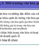 Bài giảng Quản trị kinh doanh quốc tế (Nguyễn Hùng Phong) - Chương 3: Môi trường văn hóa quốc tế