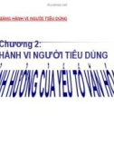 Bài giảng Hành vi người tiêu dùng: Chương 2