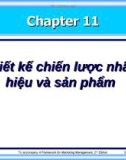 Bài giảng Marketing - Chương 11: Thiết kế chiến lược nhãn hiệu và sản phẩm