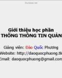 Bài giảng Hệ thống thông tin quản lý: Chương 0 - Đào Quốc Phương