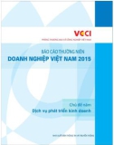 Báo cáo thường niên doanh nghiệp Việt Nam 2015 – Dịch vụ phát triển kinh doanh