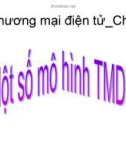 Mô hình kinh doanh thương mại điện tử