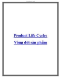 Product Life Cycle: Vòng đời sản phẩm