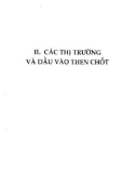 Phát triển kinh doanh Việt Nam 2006: Phần 2