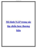 Mô hình N.I.P trong xác lập chiến lược thương hiệu