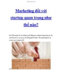 Marketing đối với startup quan trọng như thế nào?