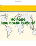 Kinh doanh quốc tế: Mở rộng kinh doanh quốc tế