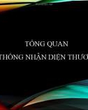 Bài giảng Tổng quan về hệ thống nhận diện thương hiệu