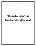 'Quyền lực mềm' của Doanh nghiệp Việt ở đâu?