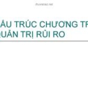 Cấu trúc chương trình quản trị rủi ro