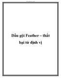 Dầu gội Feather – thất bại từ định vị