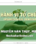 Bài giảng Hành vi tổ chức - Nguyễn Văn Thụy