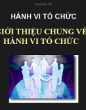 Bài giảng Hành vi tổ chức: Chương 1 - ThS. Tạ Thị Hồng Hạnh